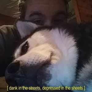 Meet your Posher, Meghan